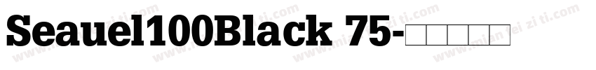 Seauel100Black 75字体转换